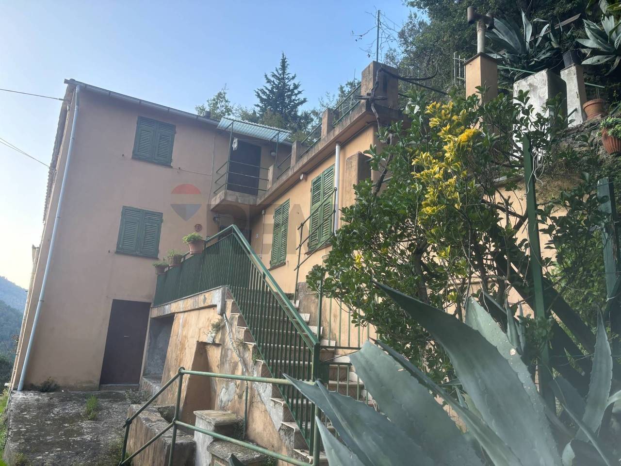 immagine annuncio 9 di 13