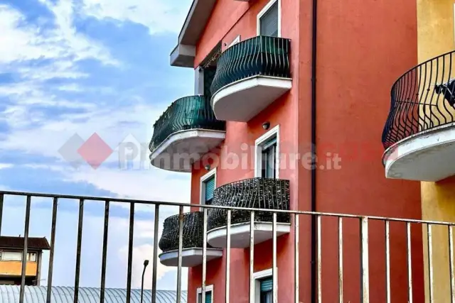 insertion image