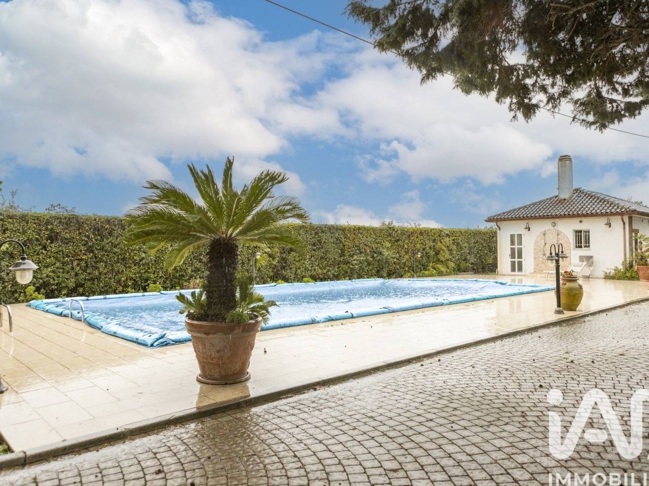 immagine annuncio 5 di 15