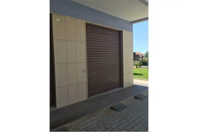 insertion image
