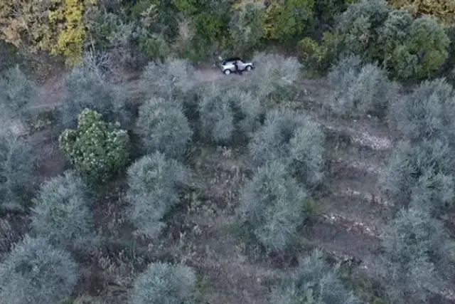 insertion image