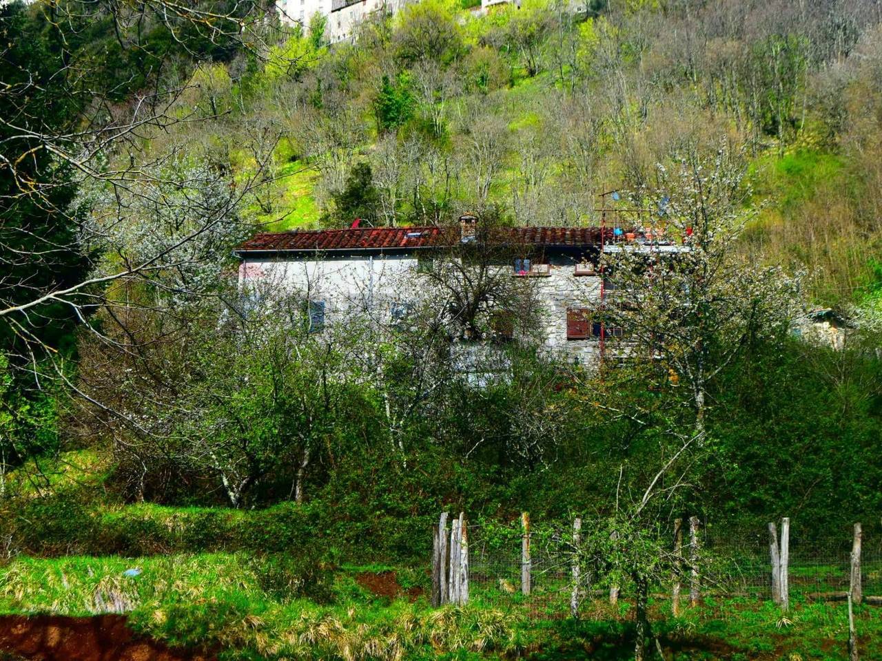 immagine annuncio 3 di 13