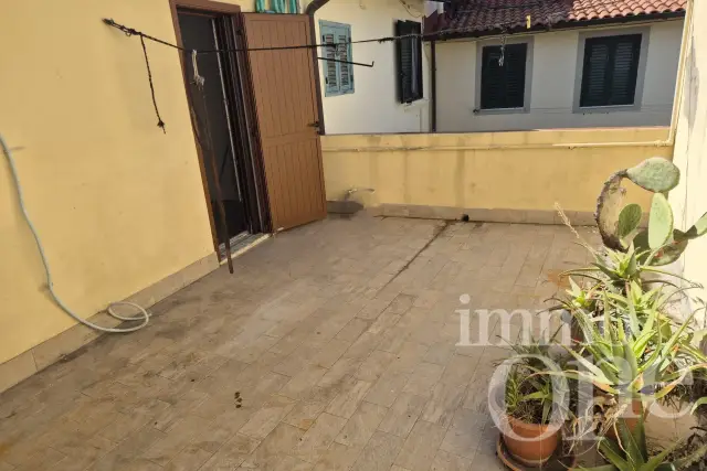 insertion image