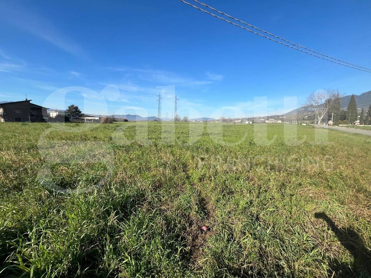 immagine annuncio 3 di 6