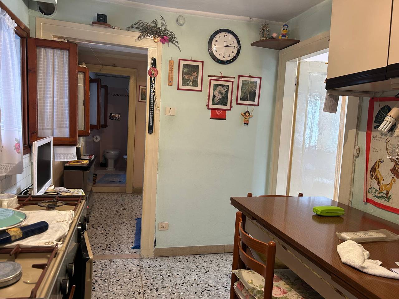 immagine annuncio 1 di 14
