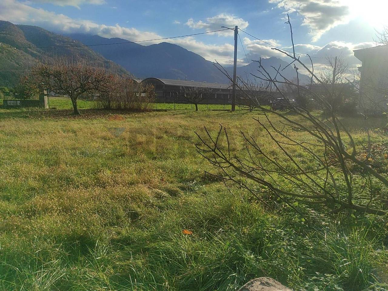 immagine annuncio 6 di 8