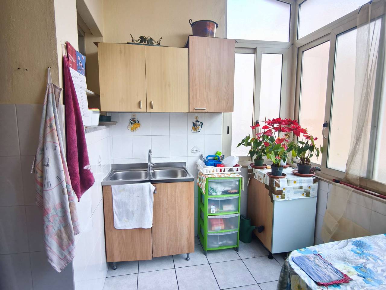 immagine annuncio 5 di 14