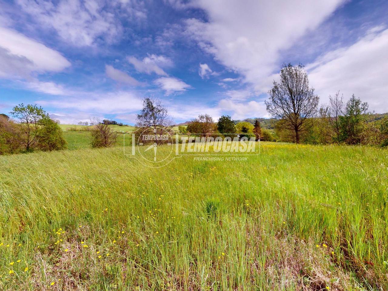 immagine annuncio 7 di 12