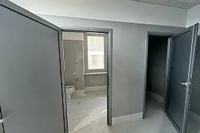 insertion image