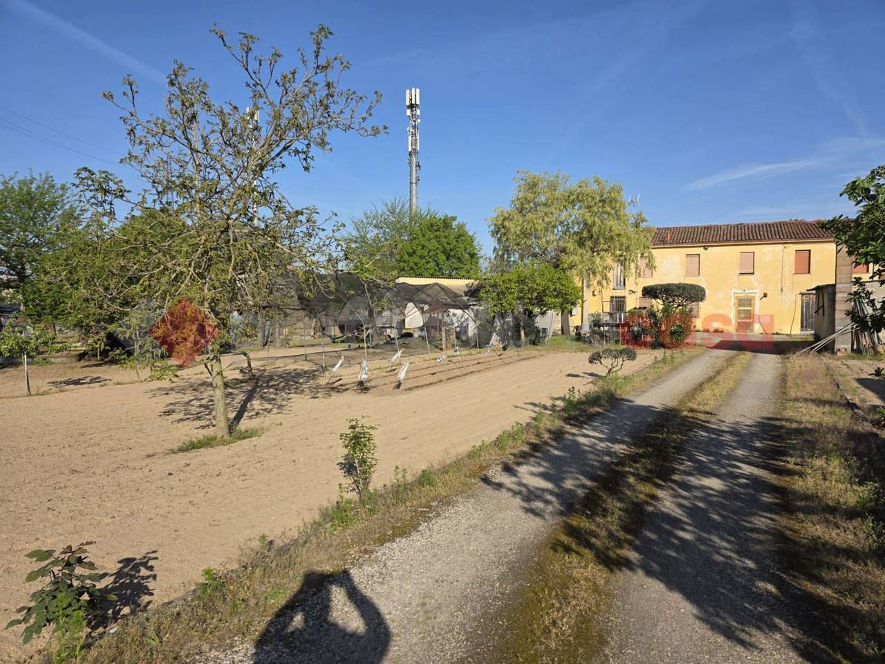 immagine annuncio 11 di 14