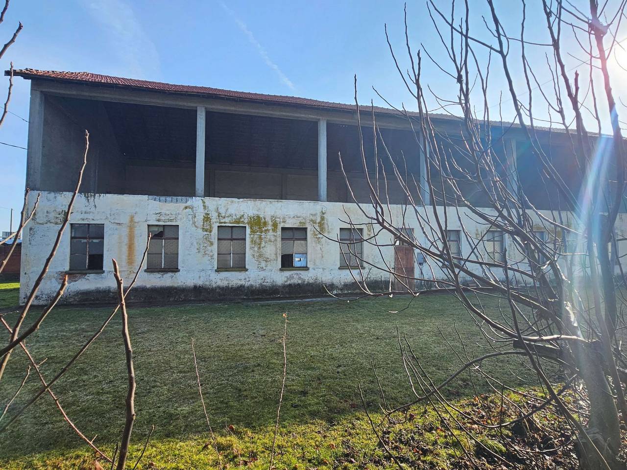 immagine annuncio 10 di 15