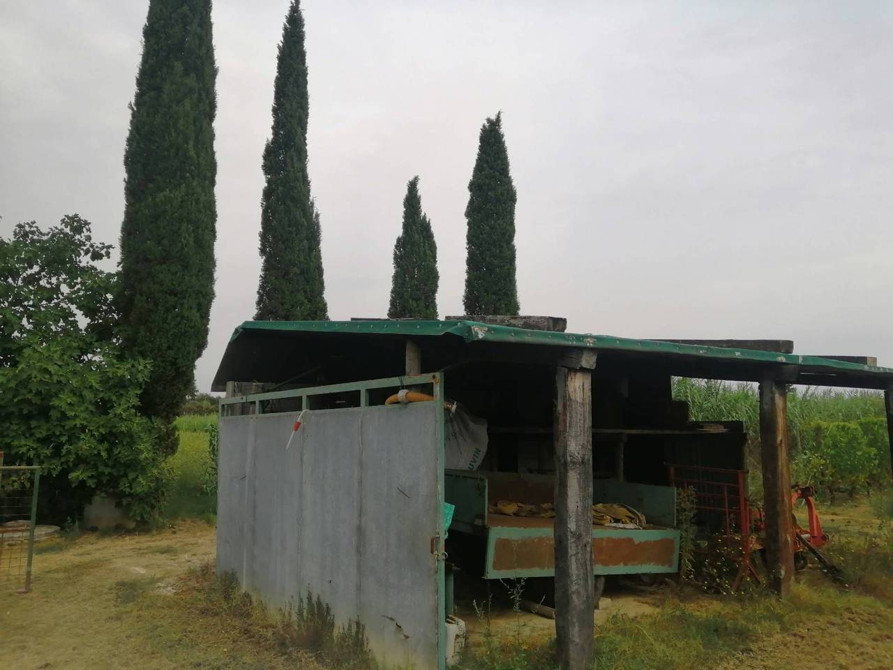 immagine annuncio 7 di 8