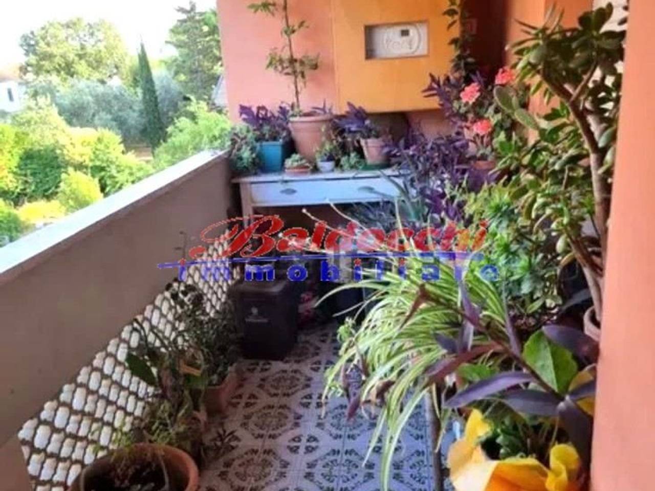 immagine annuncio 3 di 13