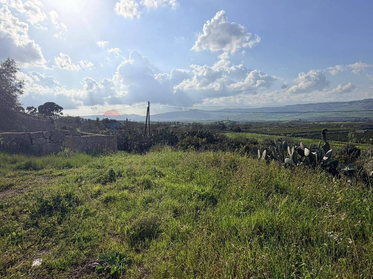 immagine annuncio 13 di 14