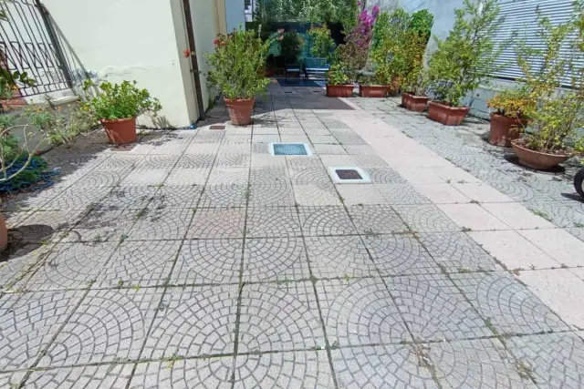 insertion image