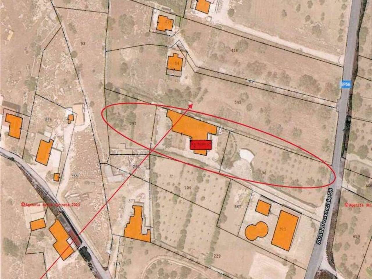 immagine annuncio 12 di 14