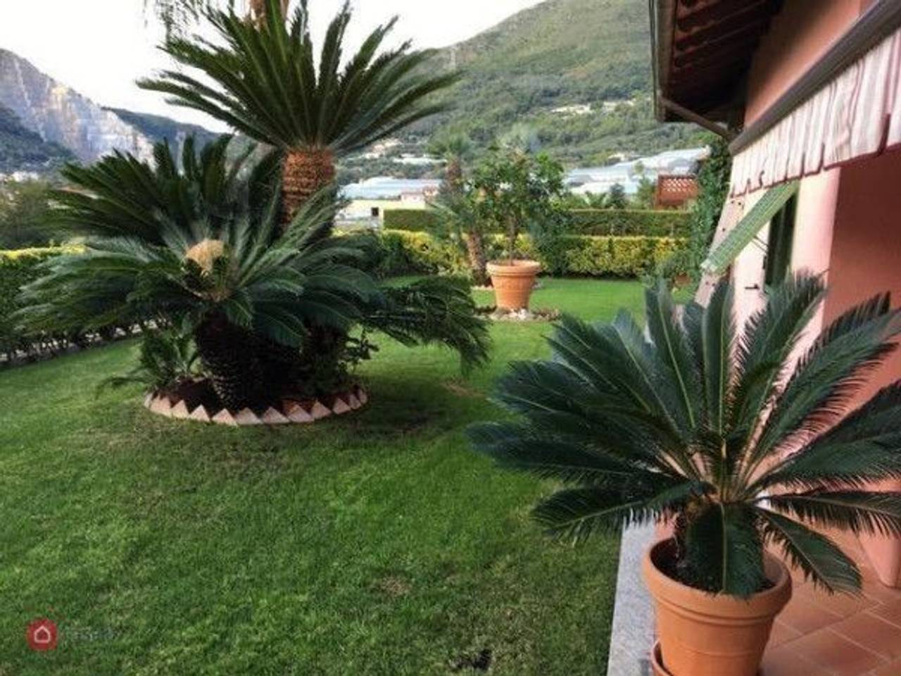 immagine annuncio 8 di 15