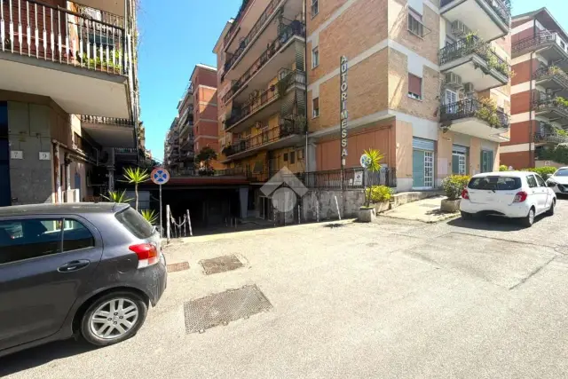 insertion image
