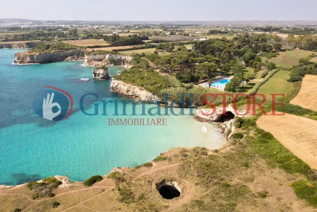 insertion image