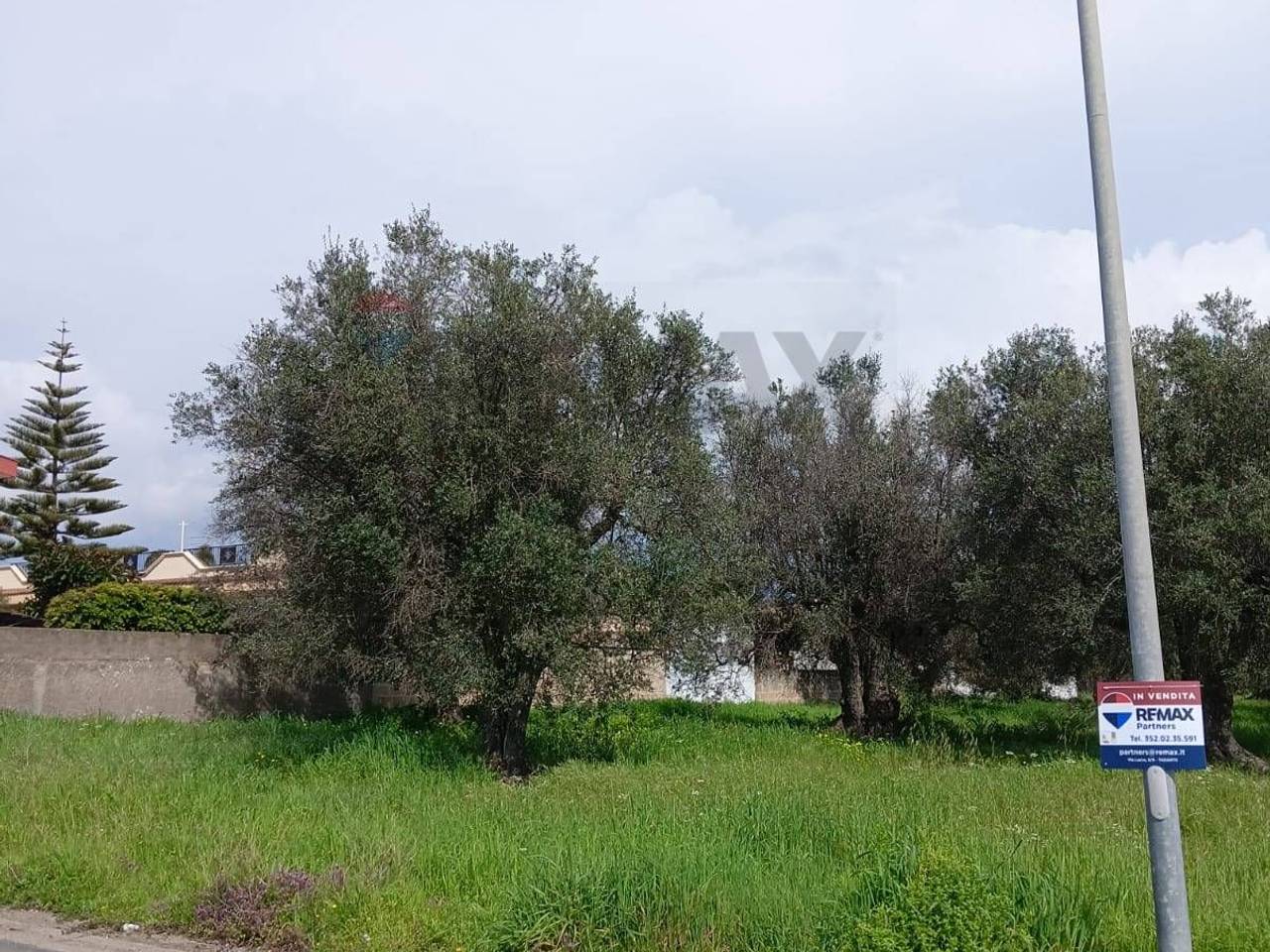 immagine annuncio 4 di 6