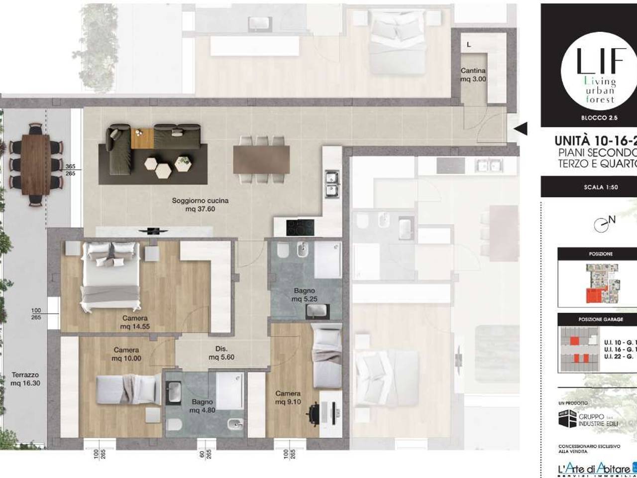 immagine annuncio 2 di 15