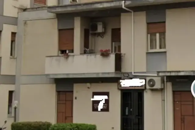 insertion image