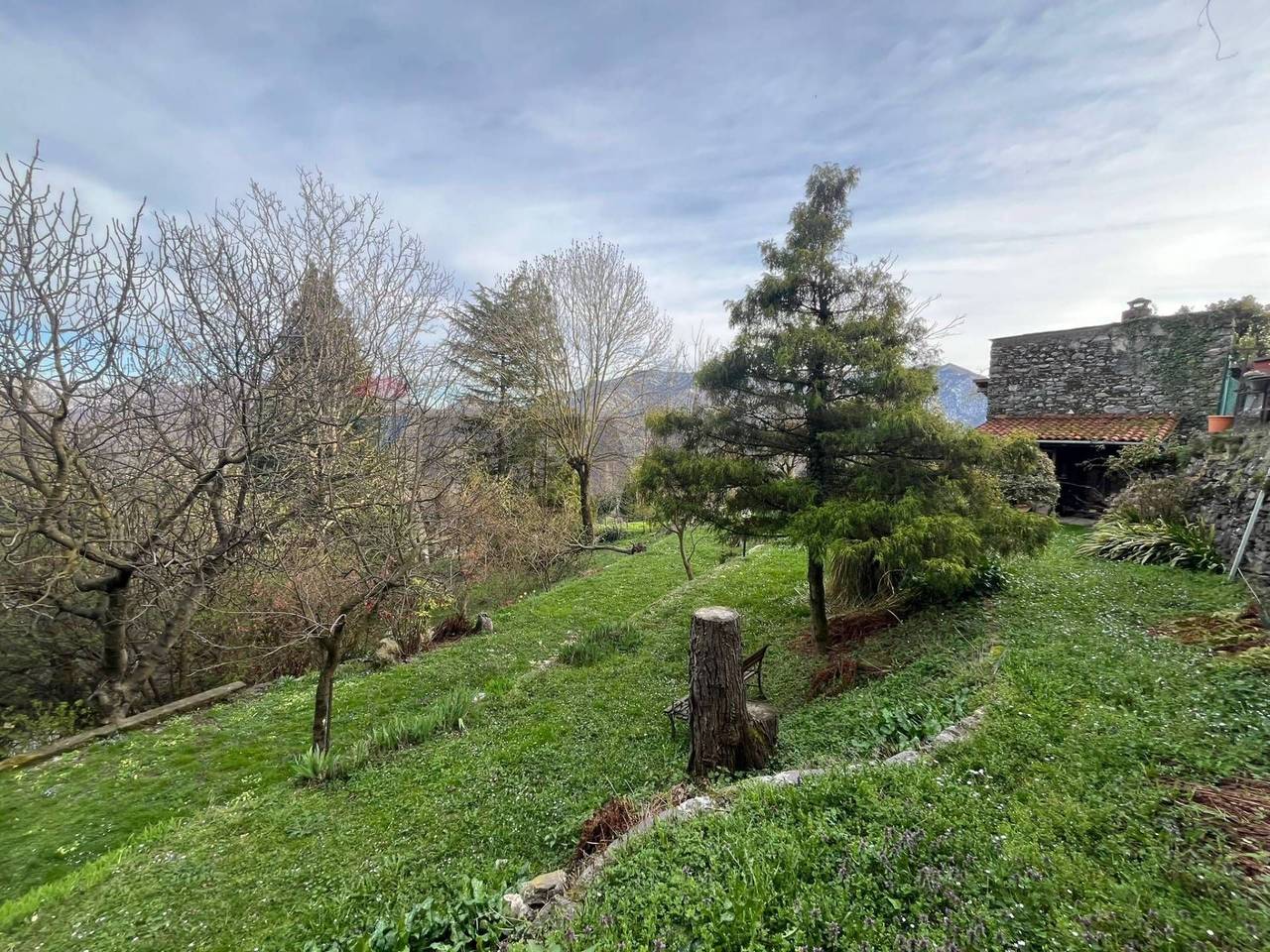 immagine annuncio 10 di 12