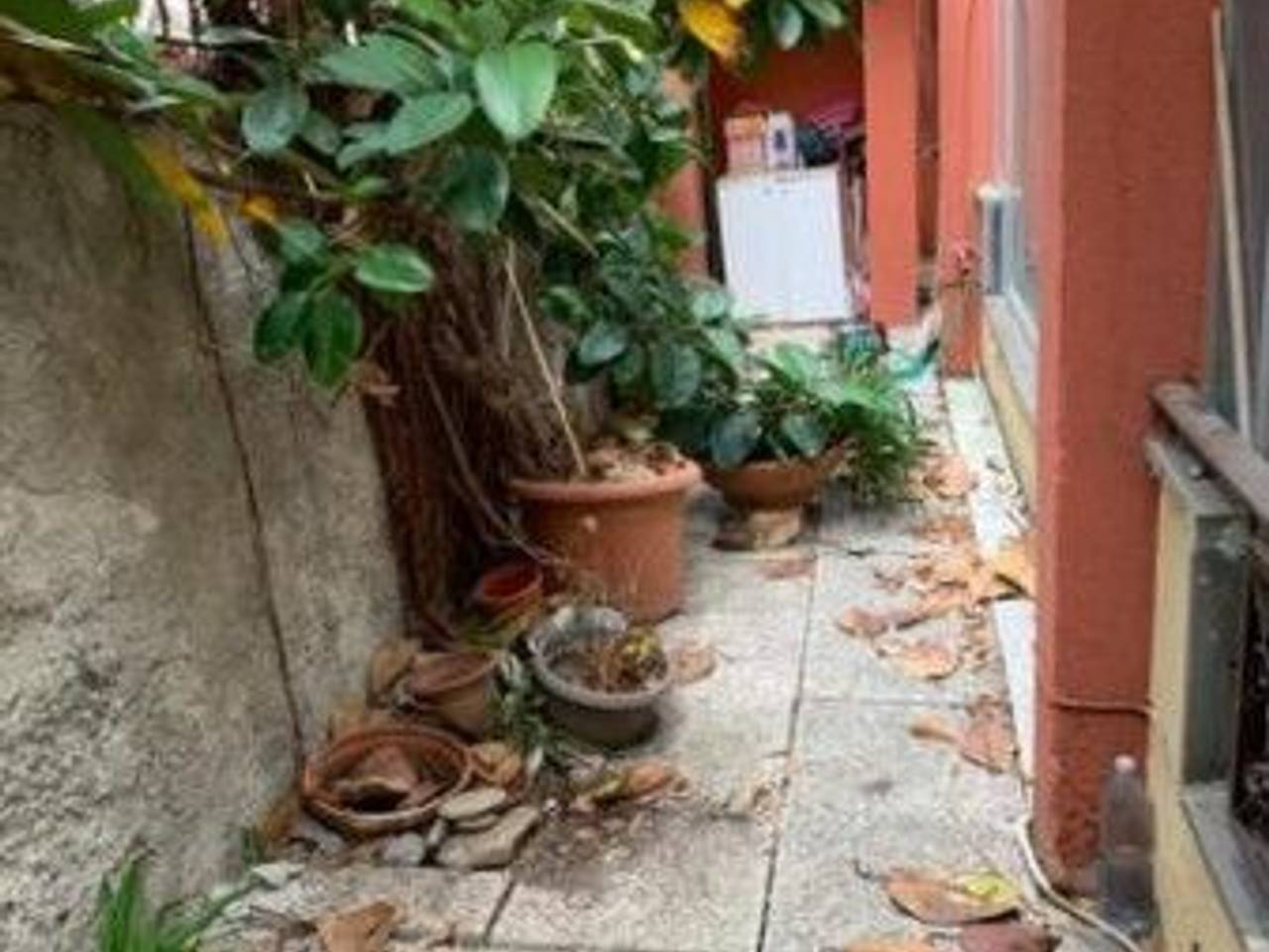 immagine annuncio 1 di 12