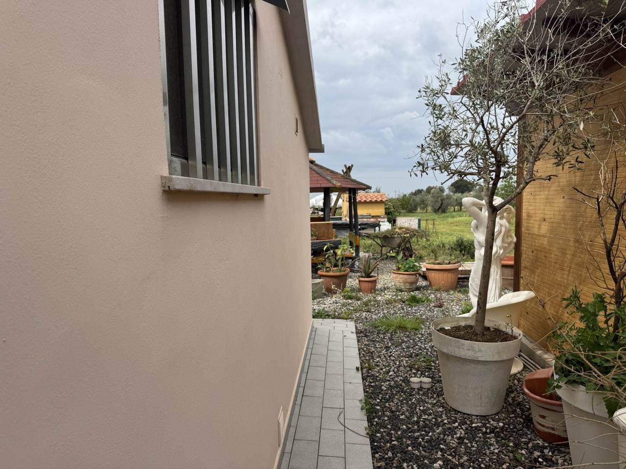 immagine annuncio 9 di 14