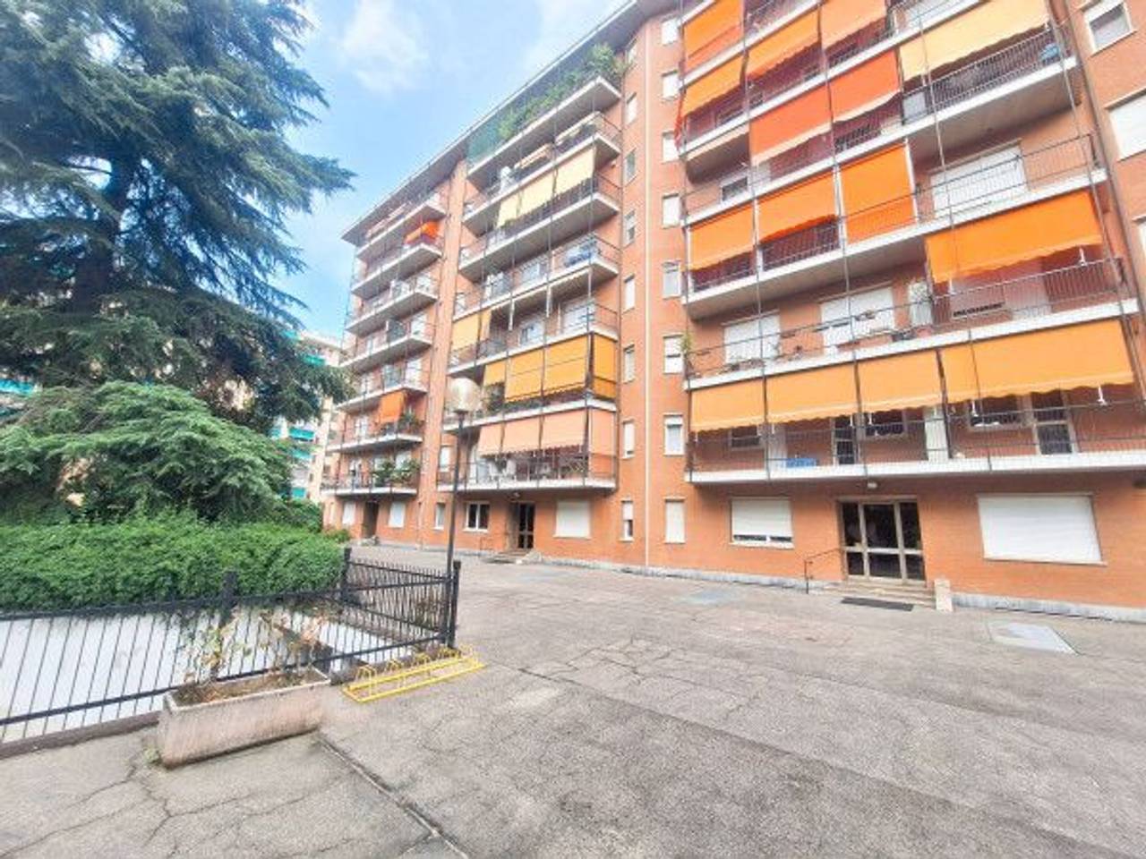 immagine annuncio 7 di 15