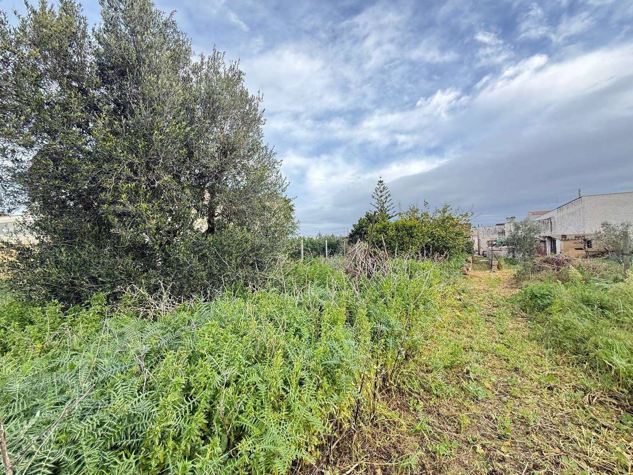 immagine annuncio 13 di 15