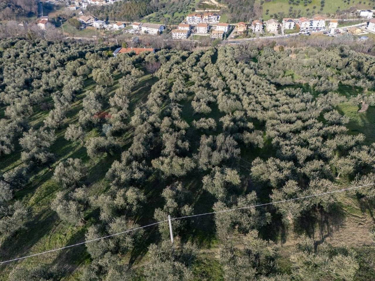 immagine annuncio 4 di 8