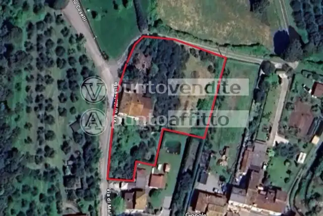 insertion image