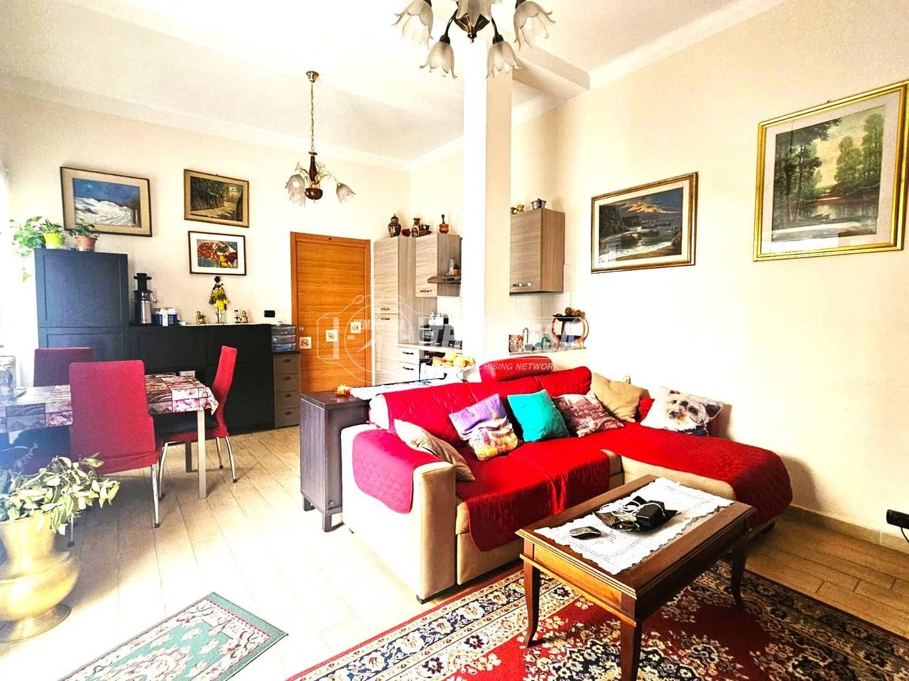 immagine annuncio 1 di 15