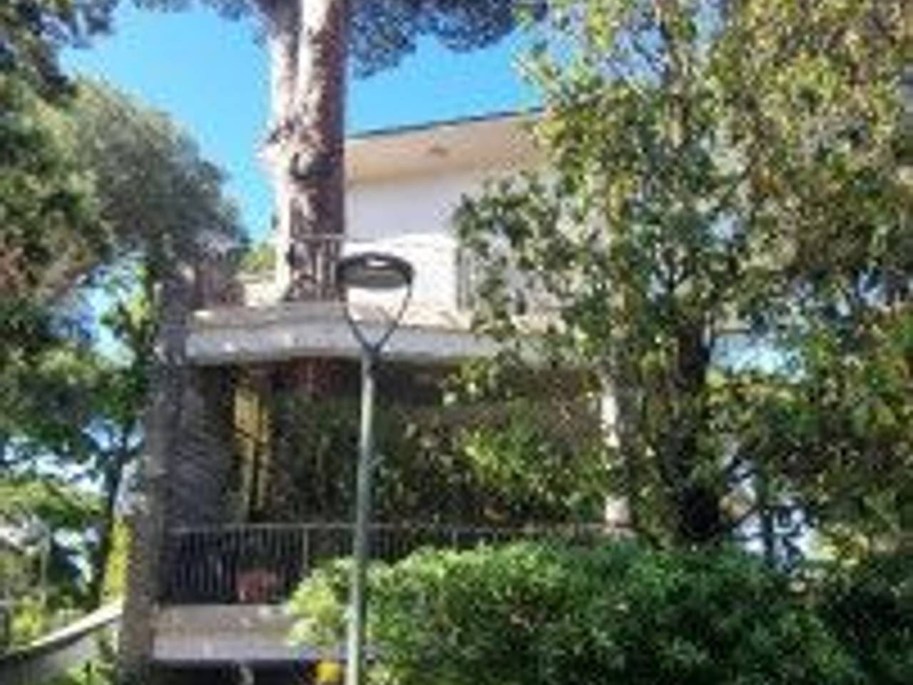 immagine annuncio 4 di 6