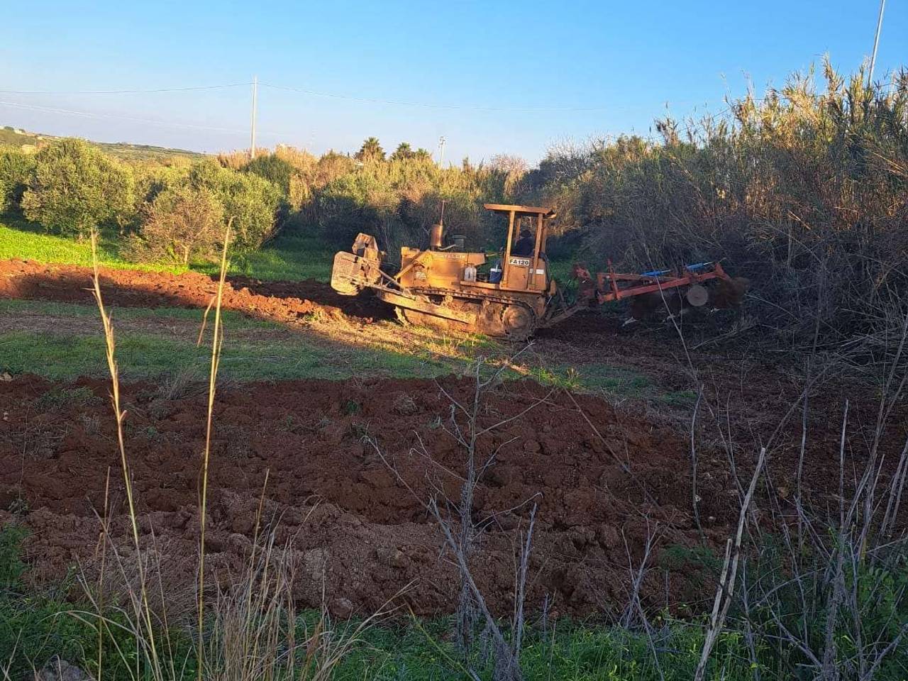 immagine annuncio 5 di 6