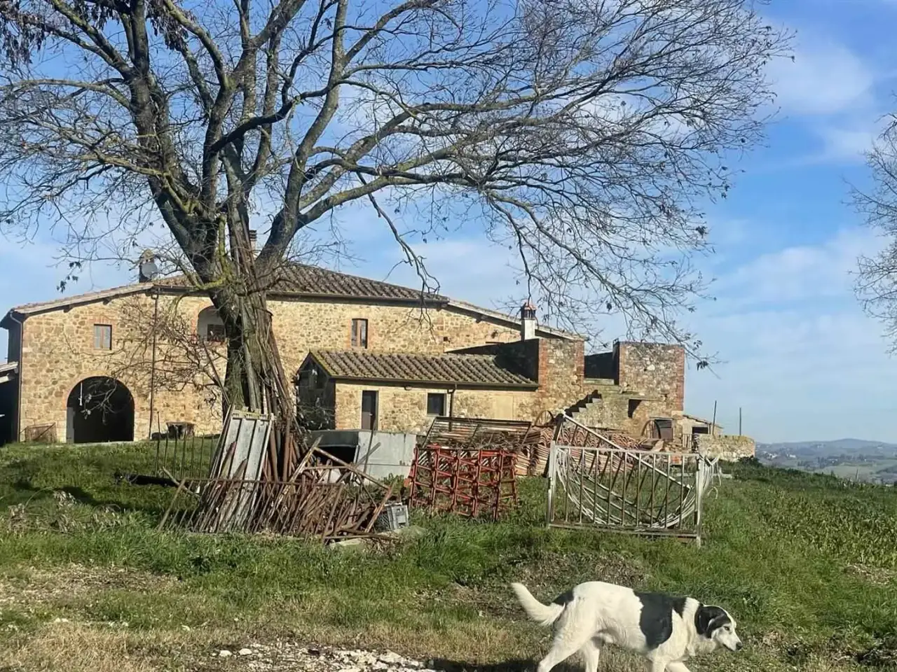Azienda agricola in , Montalcino, {3} - Foto 1