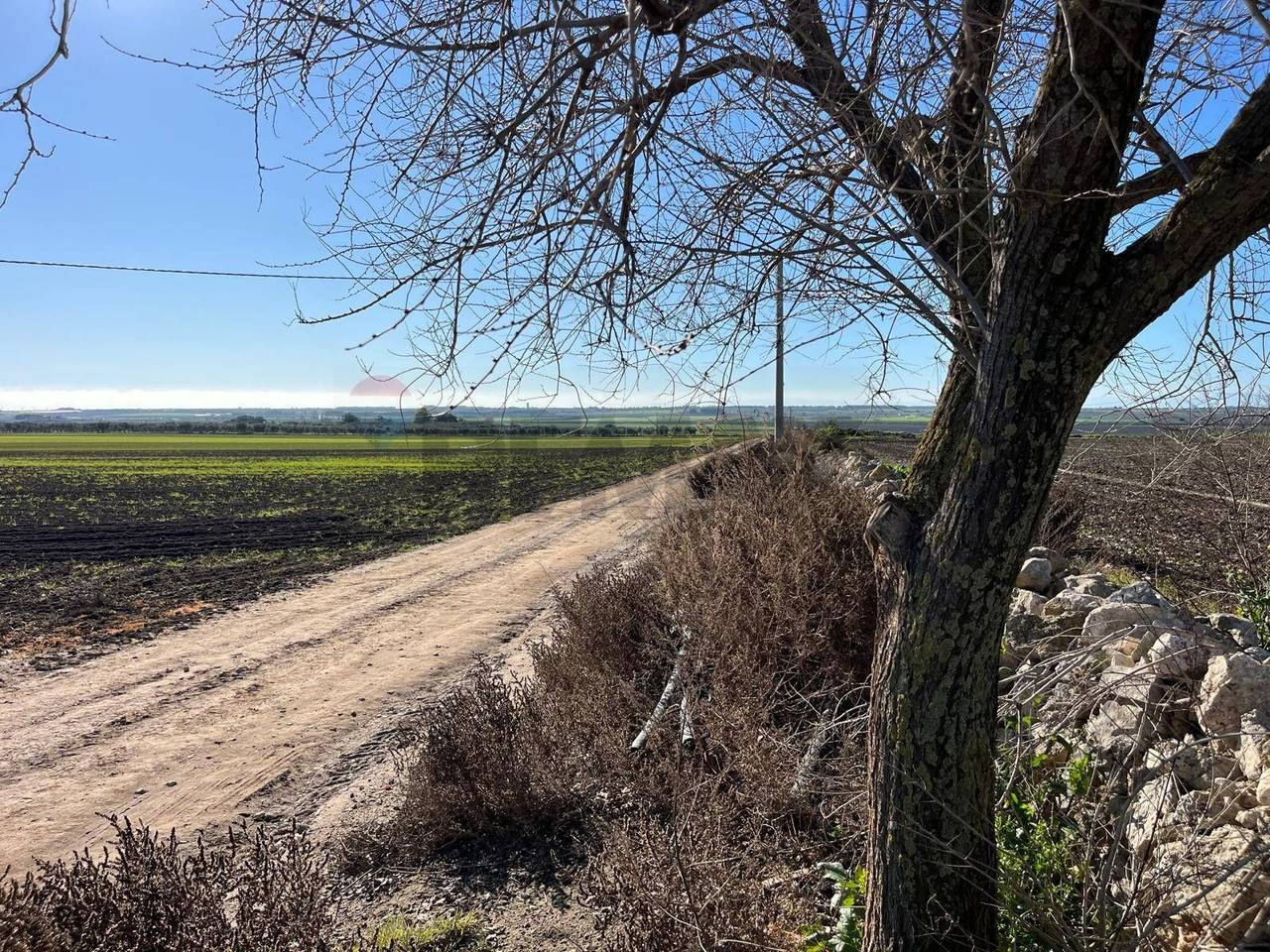 immagine annuncio 9 di 14