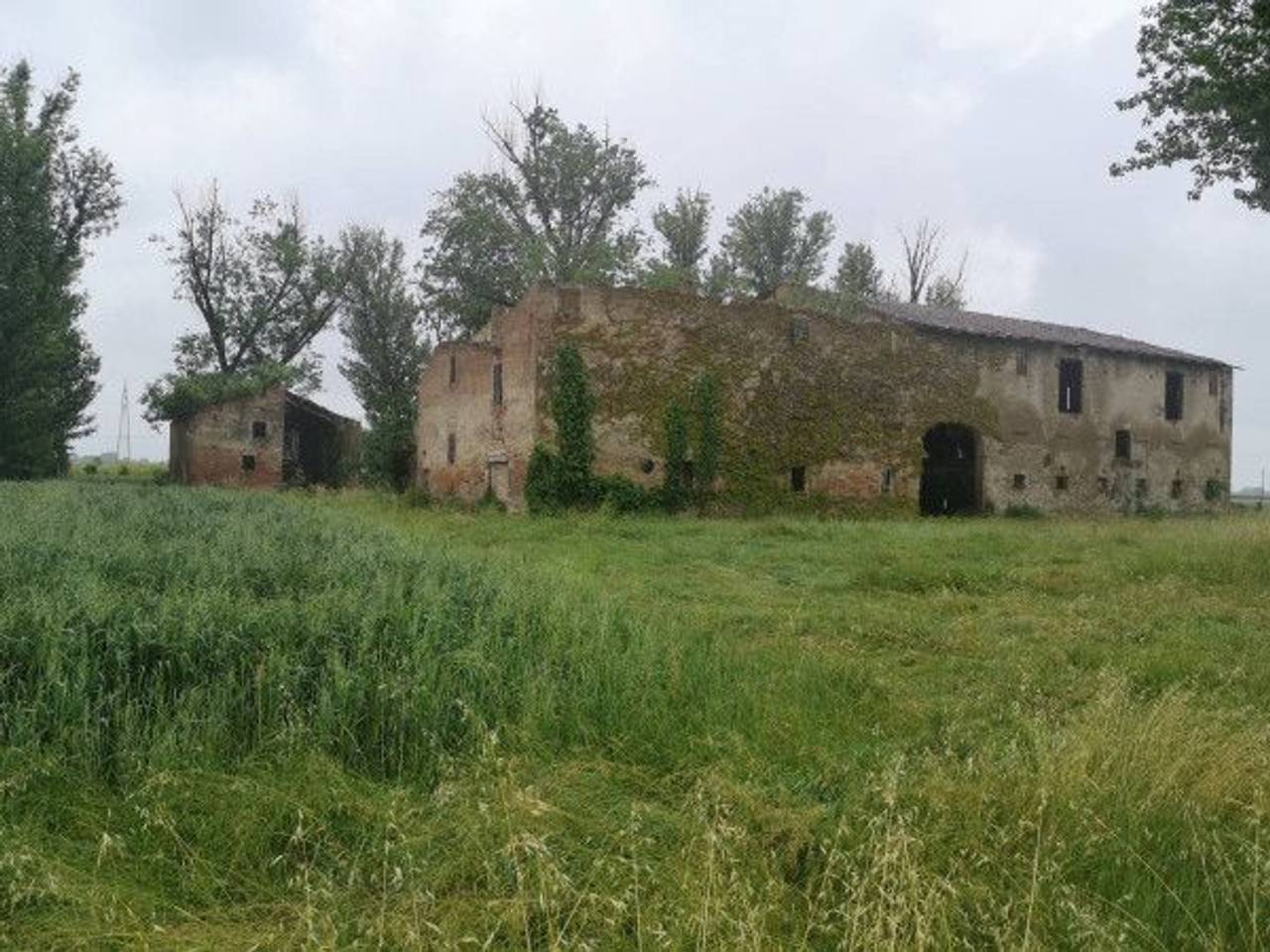 immagine annuncio 9 di 14