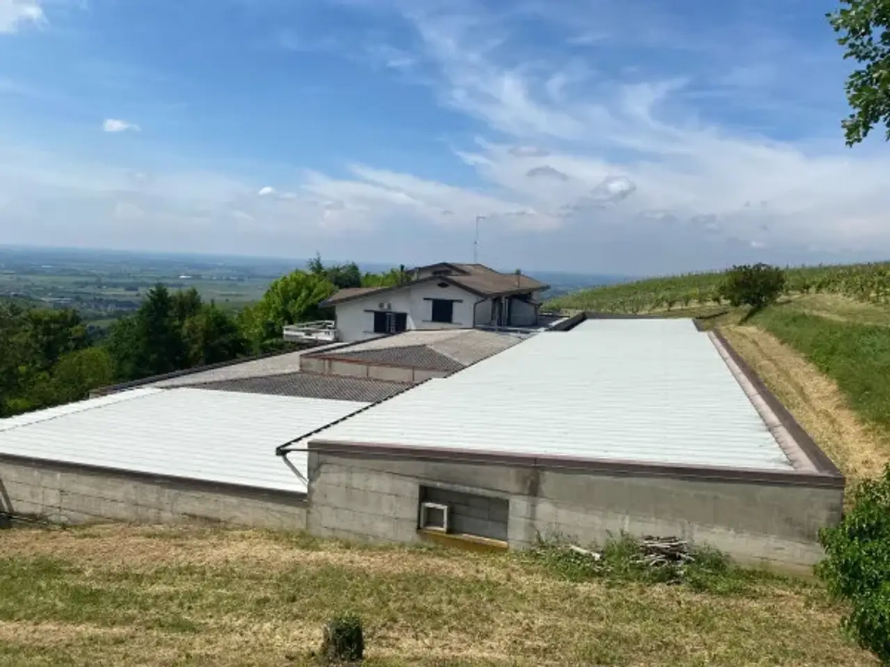 Azienda agricola in , Pietra De' Giorgi, {3} - Foto 1