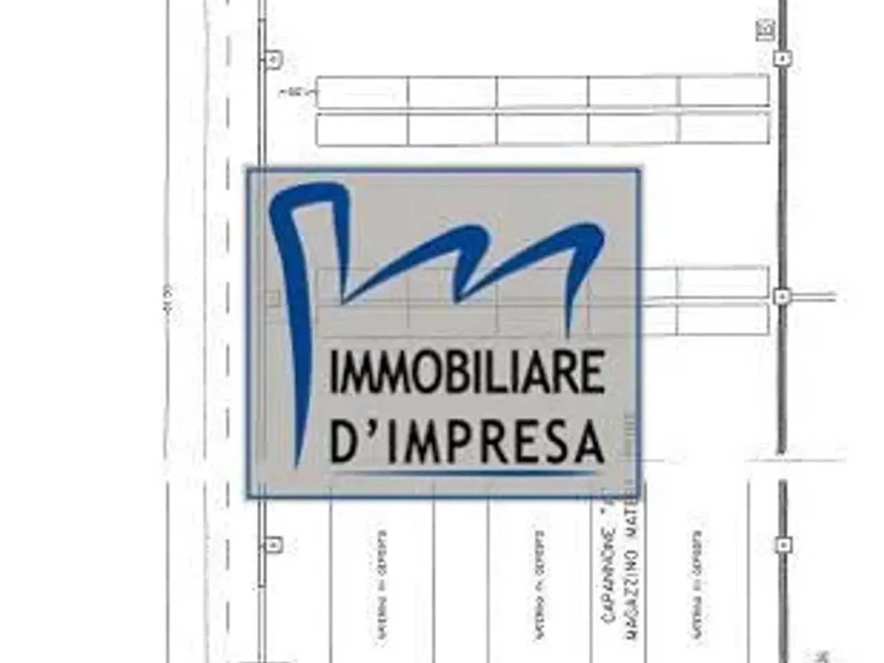 Capannone in Via Buozzi, Torrile, {3} - Planimetria 1