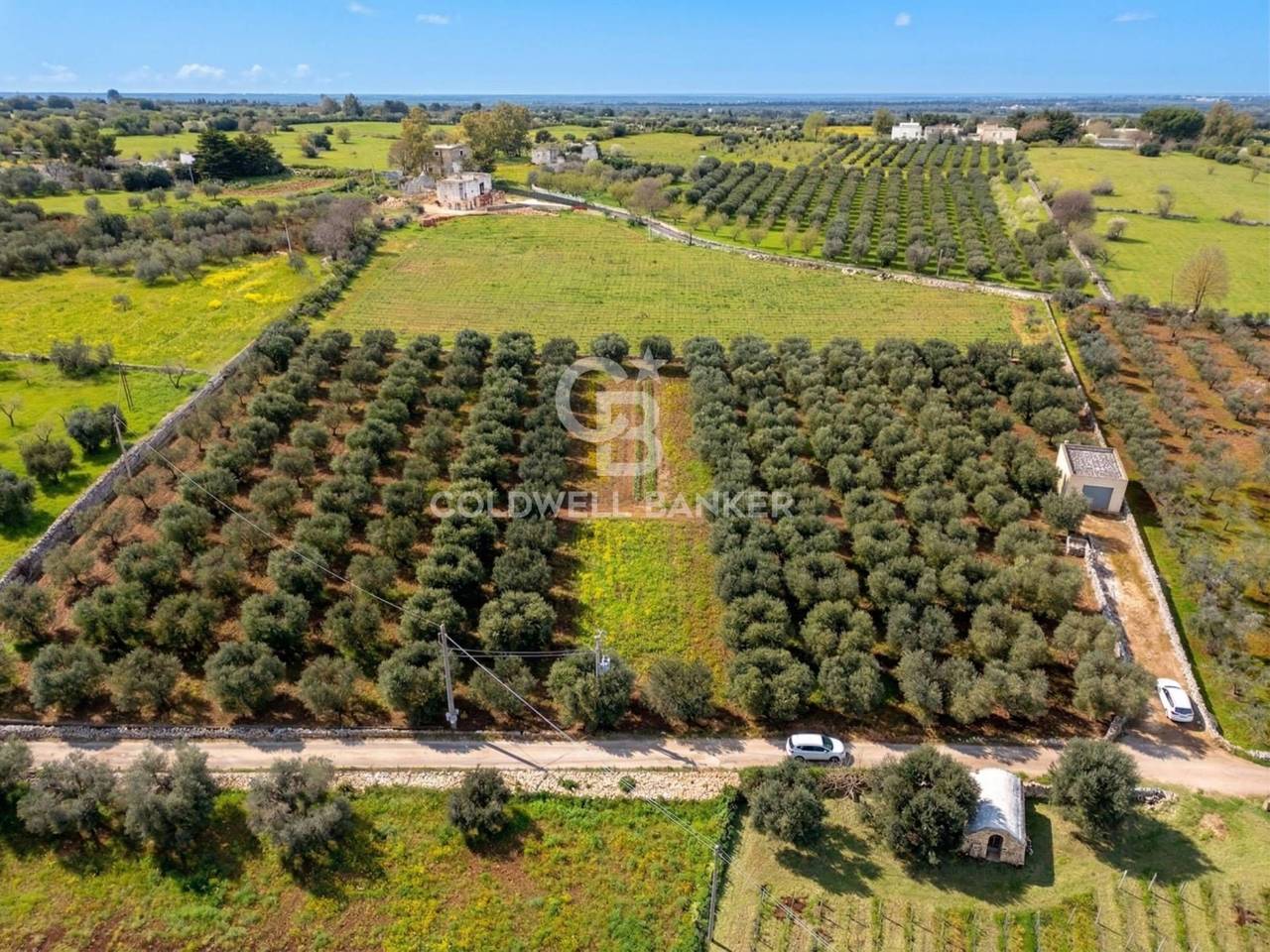 immagine annuncio 1 di 10