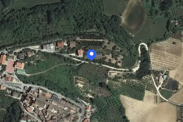 insertion image