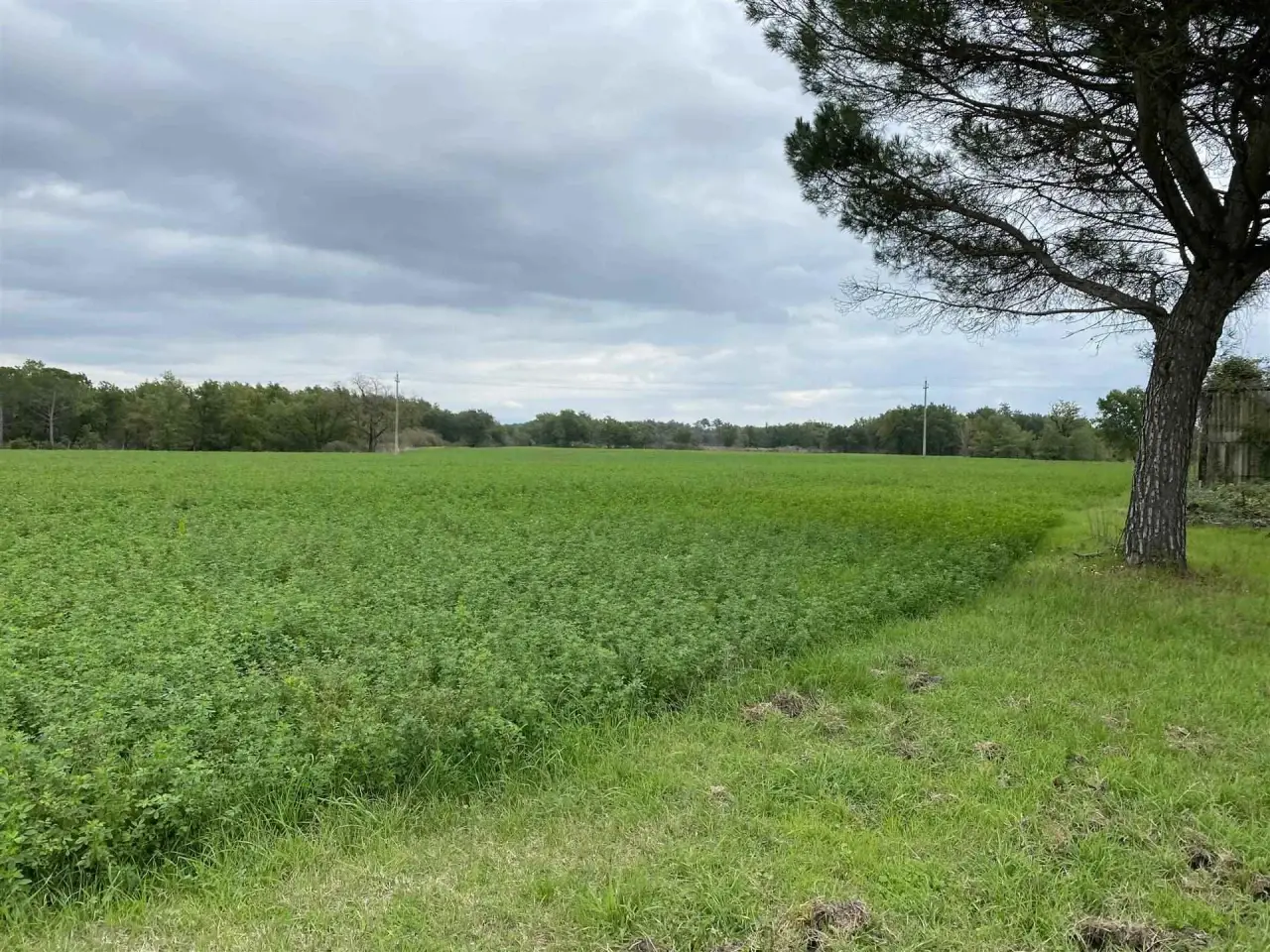 Azienda agricola in , Castiglione Del Lago, {3} - Foto 1