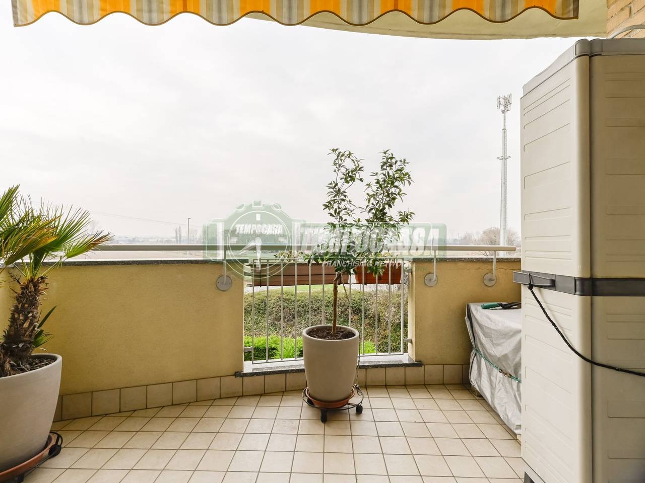 immagine annuncio 9 di 11