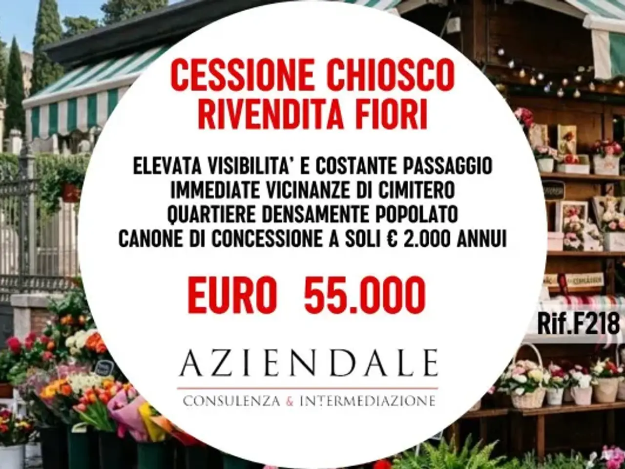 Piante e fiori in Stradone Porta Palio 74/B, Verona, {3} - Foto 1