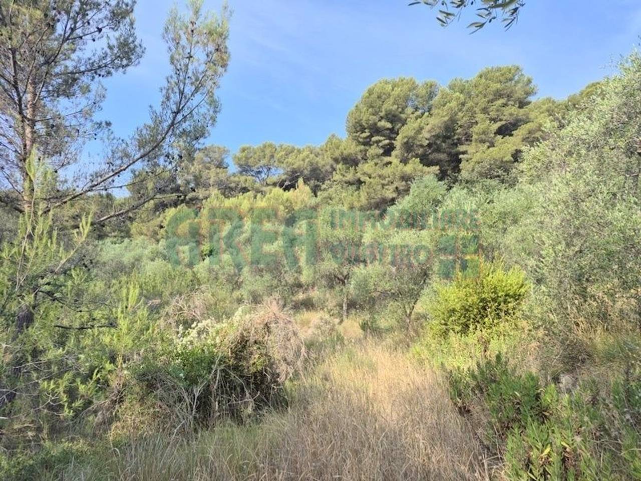 immagine annuncio 3 di 8