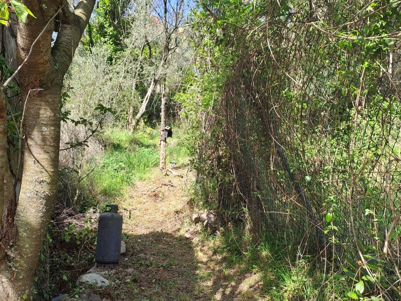 immagine annuncio 9 di 15