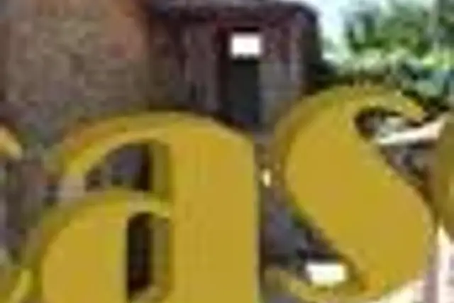 insertion image