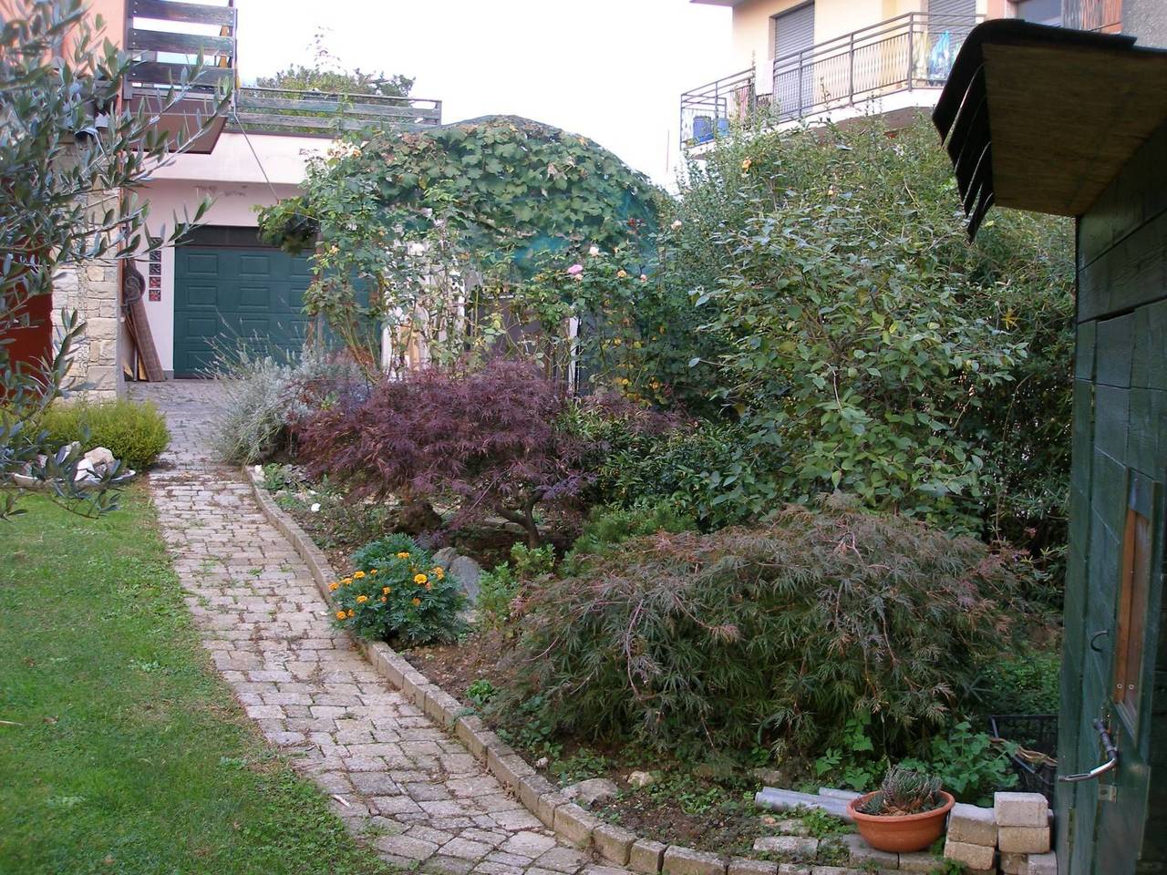 immagine annuncio 14 di 15